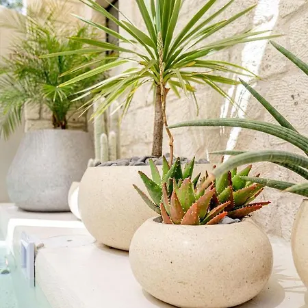 Отель Derin (adults Only)